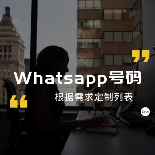 全球Whatsapp号码数据，按需定制